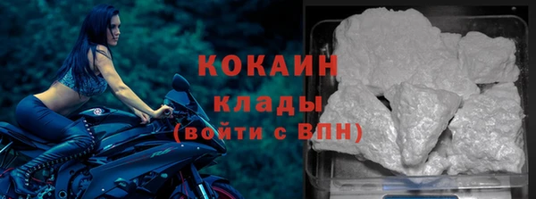 тгк Арсеньев