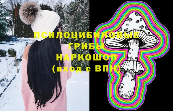 тгк Арсеньев