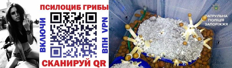 Галлюциногенные грибы Cubensis  Усть-Илимск 